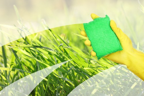 Professional carpet cleaning in a Wimbledon home interior