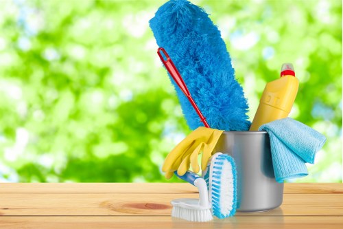 Professional cleaning company in Wimbledon for homes