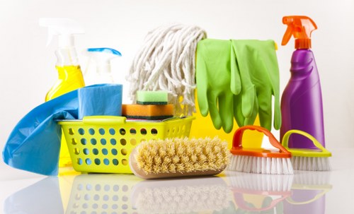 Local sofa cleaning service for pet stains and dust removal