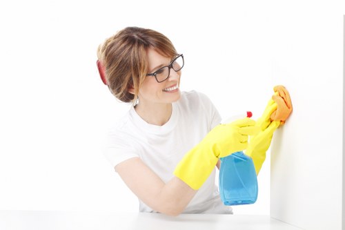 Supplier risk review in a carpet cleaning supply chain