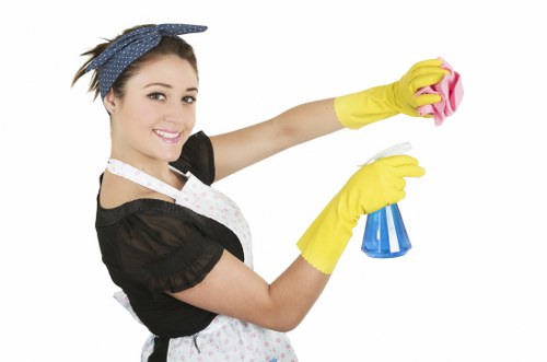 Healthy indoor environment after carpet cleaning in Wimbledon