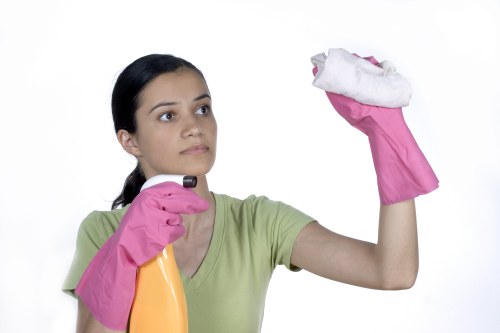 Trained Wimbledon carpet cleaner using professional equipment
