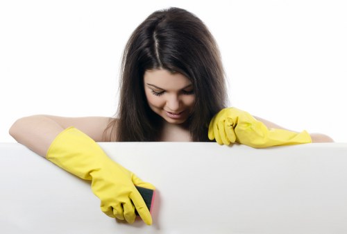 Appointment booking and scheduling for professional carpet cleaning service