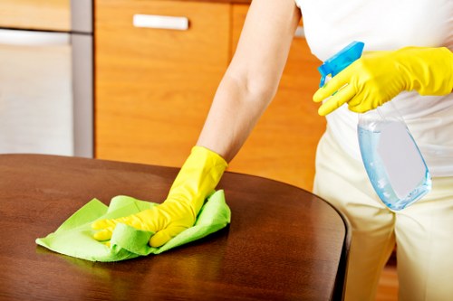 Legal terms document for UK carpet cleaning service agreement