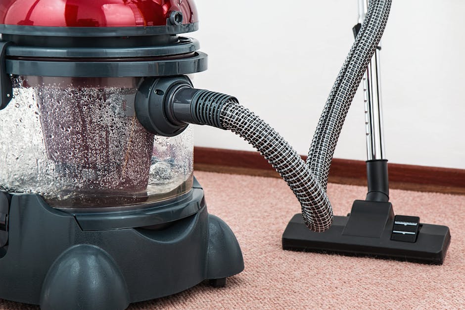 A low-angle view of a clean, textured carpet running down a corridor in a residential home with striped wallpaper on both sides and white wooden doorframes. Natural light illuminates the space, highli